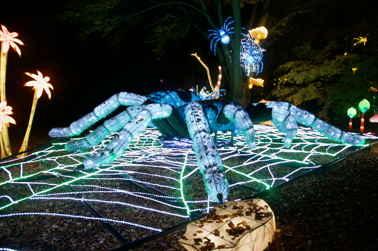 Wild Lanterns is back at Woodland Park Zoo with more animals, more